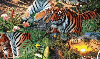 Puzzle and Tiger Challenge (You manage to see the 16 tigers in the photo)