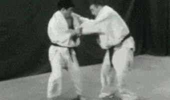 Kung-fu technique
