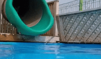 Dog using water slide